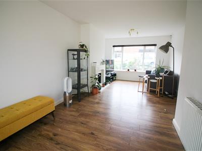 Picture 3